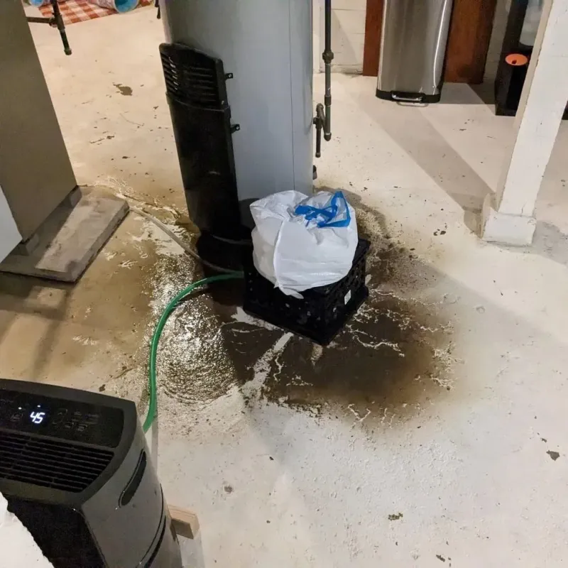 Sewage Backup Cleanup Service in Hanceville, AL